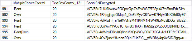Encrypted Database Screenshot
