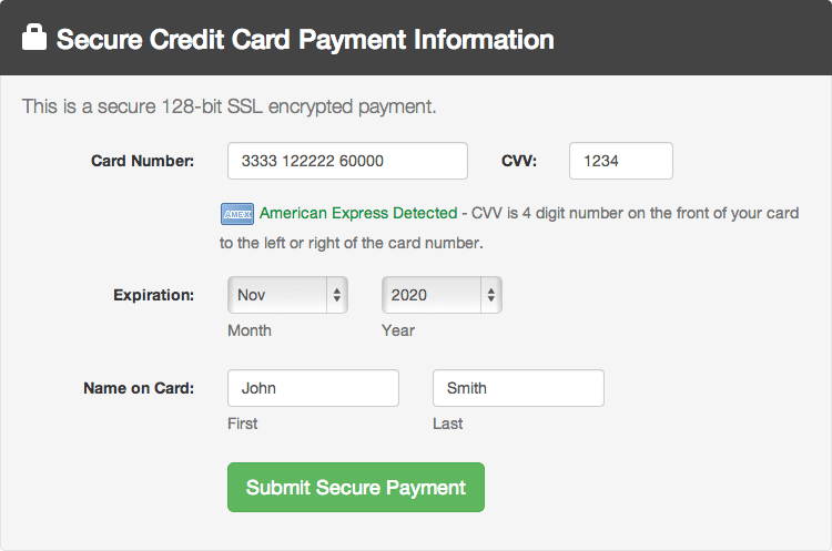 Screenshot of credit card payment form